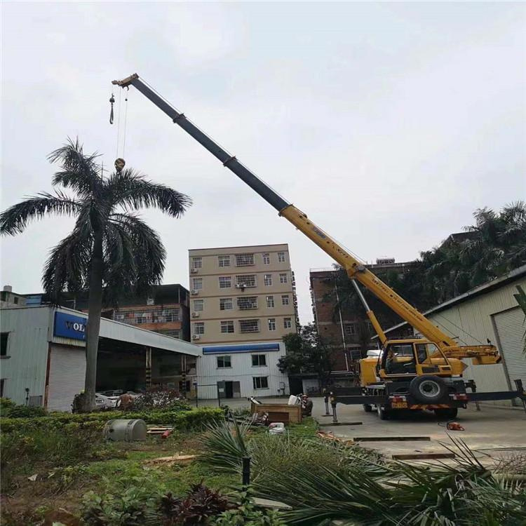 板芙镇汽车吊出租多少钱？全面解析与市场行情